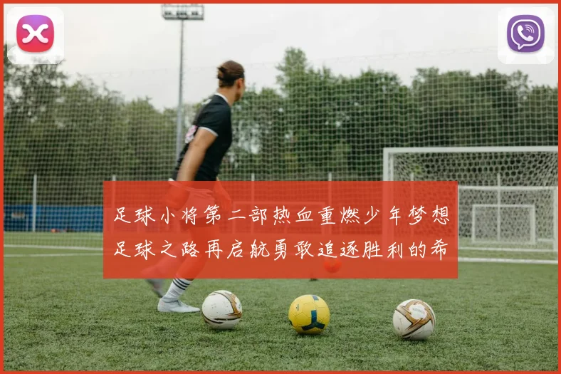 足球小将第二部热血重燃少年梦想足球之路再启航勇敢追逐胜利的希望与友谊