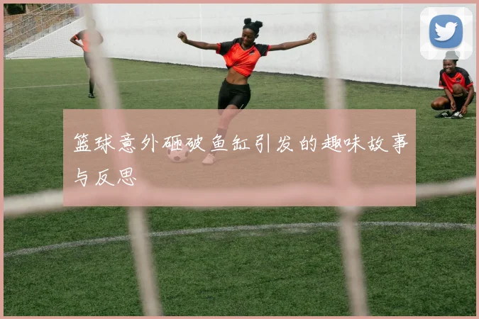 篮球意外砸破鱼缸引发的趣味故事与反思