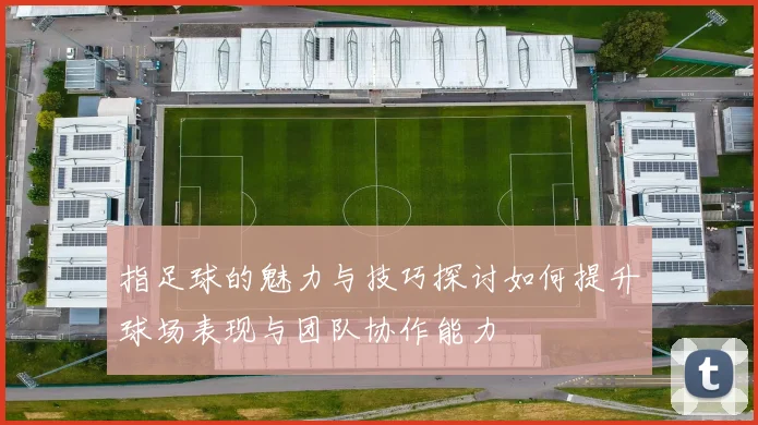 指足球的魅力与技巧探讨如何提升球场表现与团队协作能力